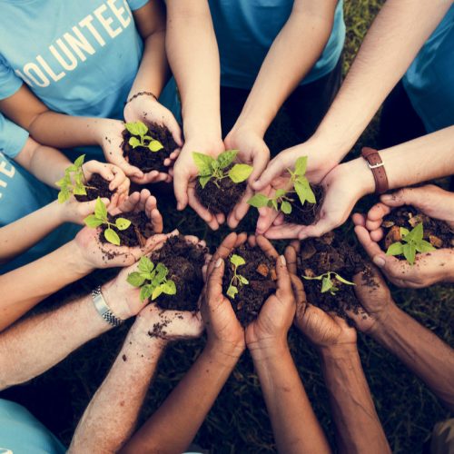 Community Support Services